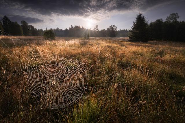 十七岁少年的独特眼光捷克的自然壮美风光127