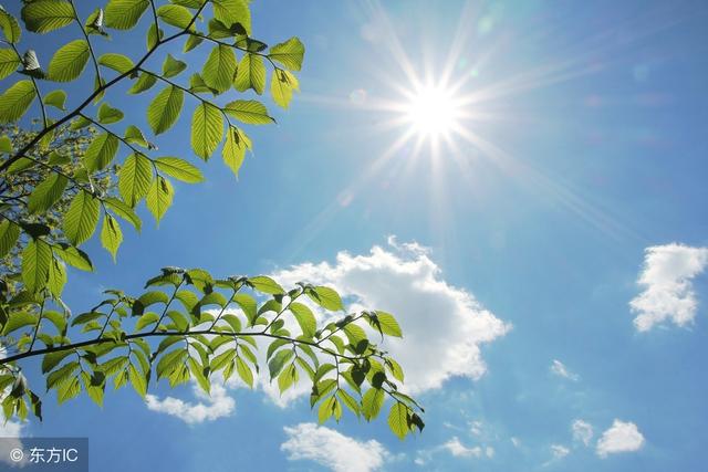 周末天气晴好 阳光热烈注意防晒