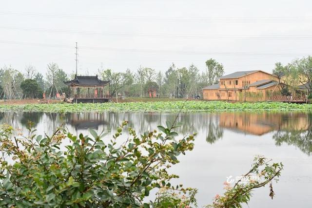 揭开神秘面纱 义乌森山健康小镇今天与市民见面啦