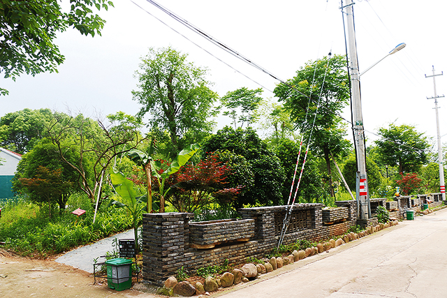 "十差村"年度回访记