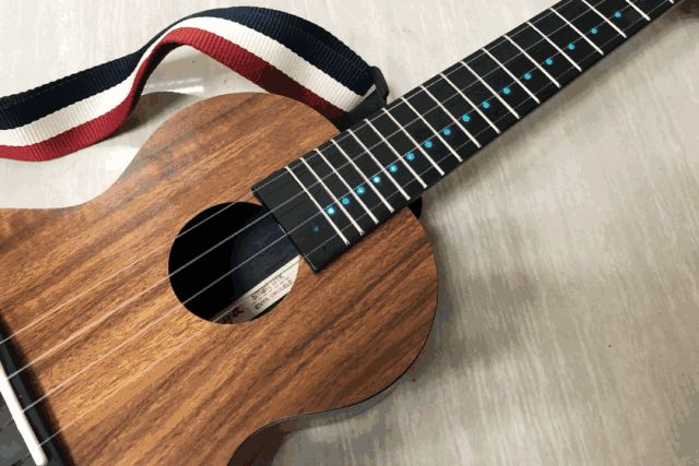 开团| 美国音乐课上孩子都在玩尤克里里!