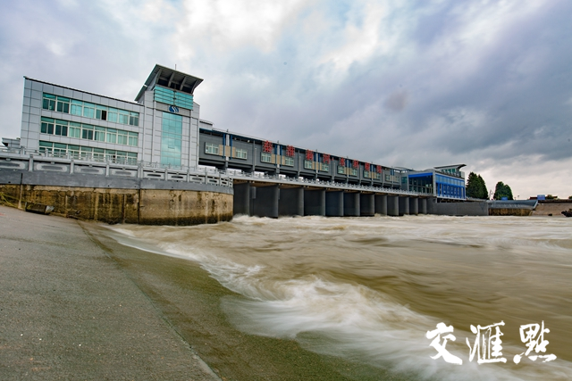 这个"七夕" 他们奋战在抗台风一线|秦淮河|秦淮|新河_新浪新闻