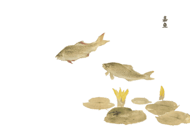 640_427gif 动态图 动图