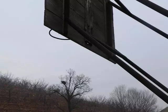 你们村的篮球场,现在变成了什么样呢?