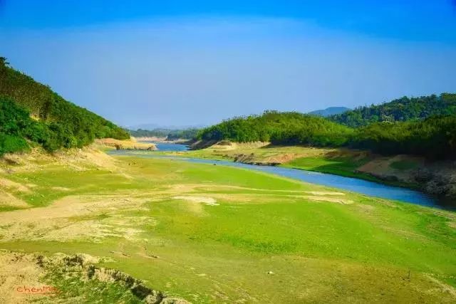 普宁梅花美到爆!五大赏梅区出游路线全在这里!