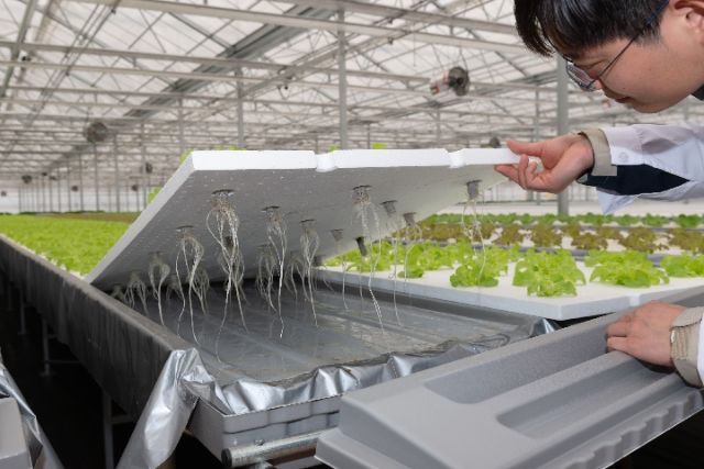 植物工厂正成为中国农业的新形态