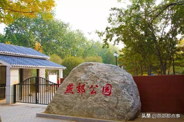 “燕郊公园”秋游记,一定要去打卡|燕郊公园|黄栌|银杏|柳树|打卡_新浪新闻