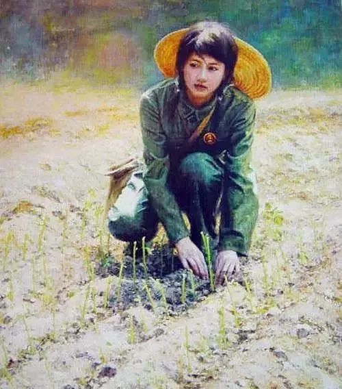 知青|上山下乡|牲口_新浪新闻