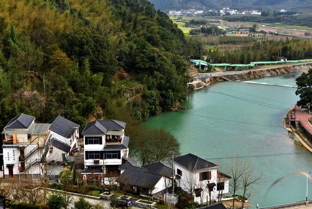 春到乡村丨桐庐大路村:产业促振兴 当春乃发生