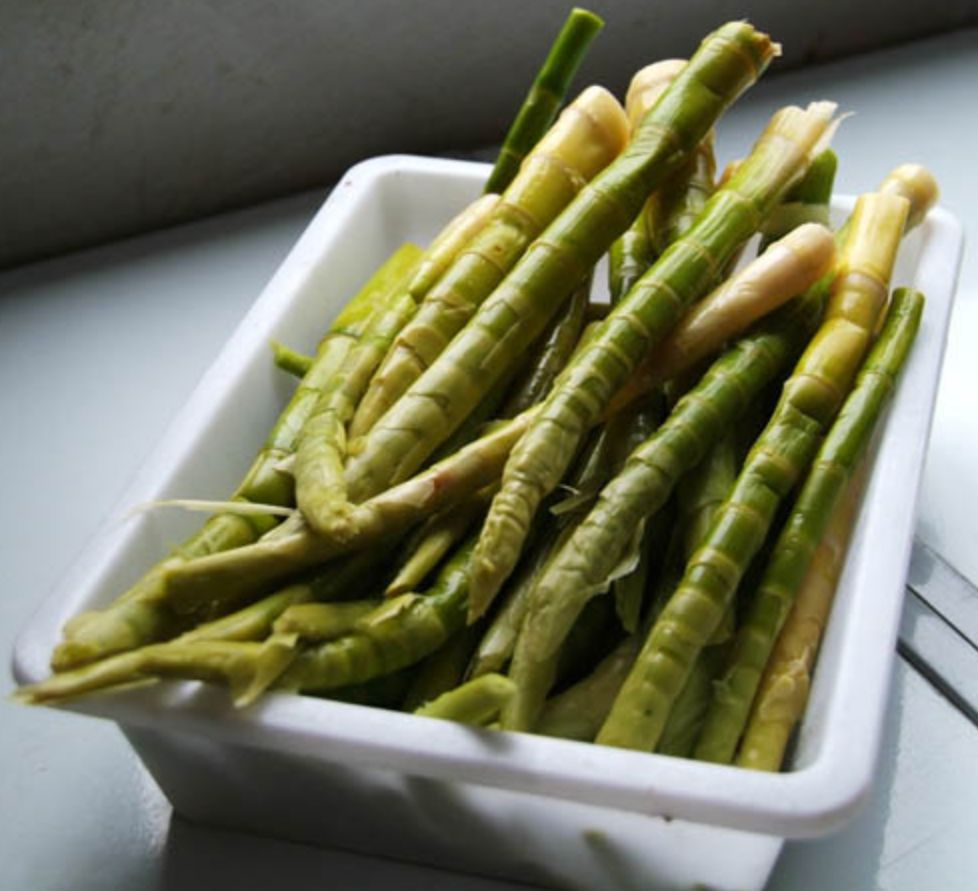 干辣椒原 料/ 鸡髓笋 /春笋能润肠通便,竹笋中的纤维素能在大肠杆菌的