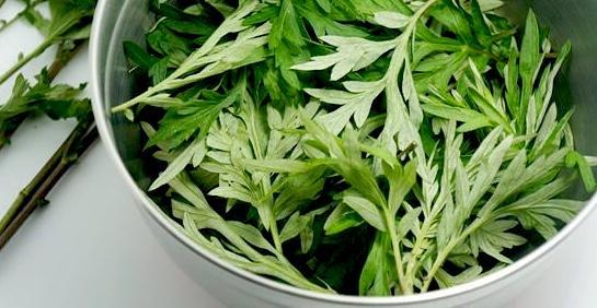 采一株青蓬草品四月舌尖上的江南