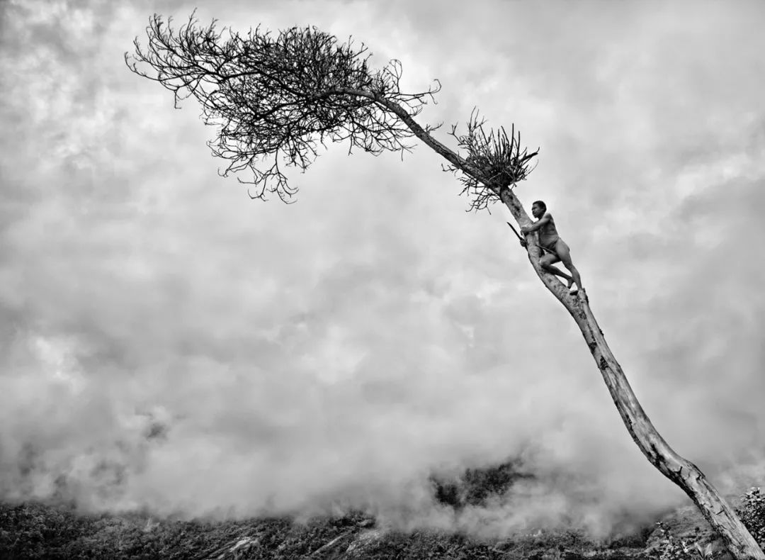 萨尔加多:拍摄来自我的内心 |《中国摄影家》杂志3月刊推荐《萨尔加多