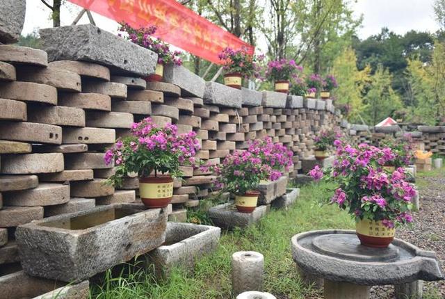 2万多块石磨盘当舞台背景 磐安石文化节真有创意