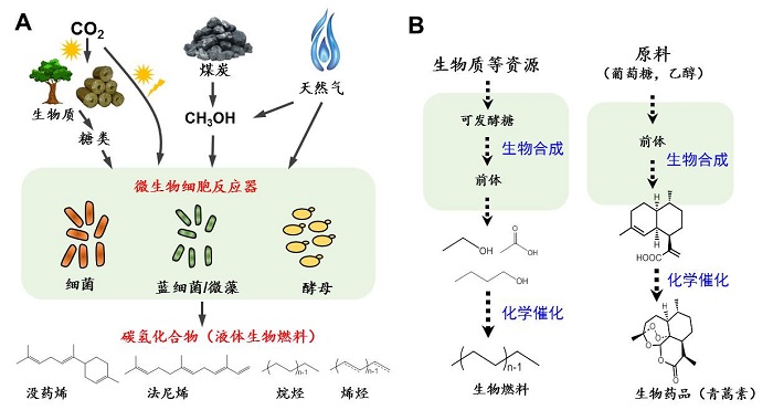 大连化物所发表生物合成碳氢化合物综述文章