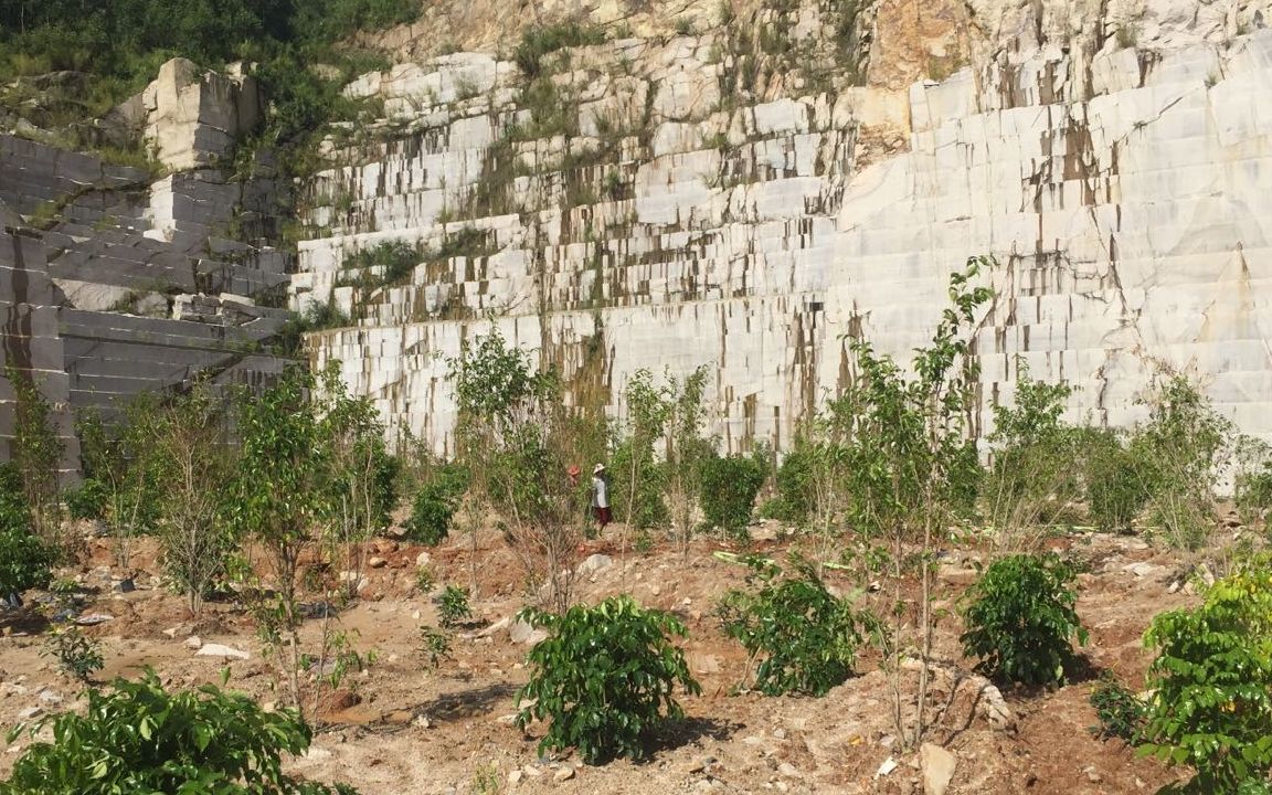 漳浦新闻:被环保督察组点名批评后 福建漳浦掀起整改风暴 蔡坑矿区,工人正在进行复绿工作。 新京报记者 张胜坡 摄