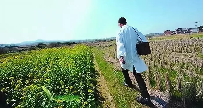 多少人口配备一名乡村医生_西畴县有多少人口