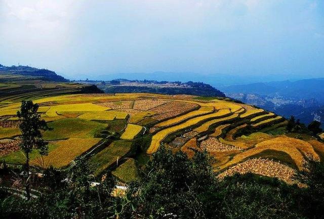 贵阳高坡石门梯田灵秀而安静城市里的四季始终美得含蓄不张扬