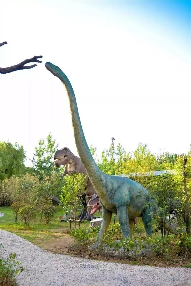 合肥恐龙乐园图片