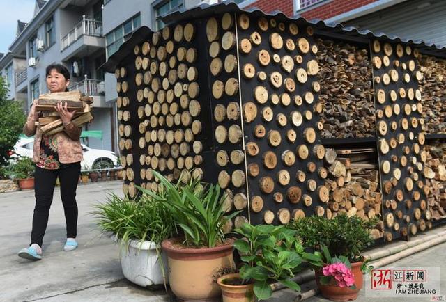 杭州农家门前的柴火架亮了