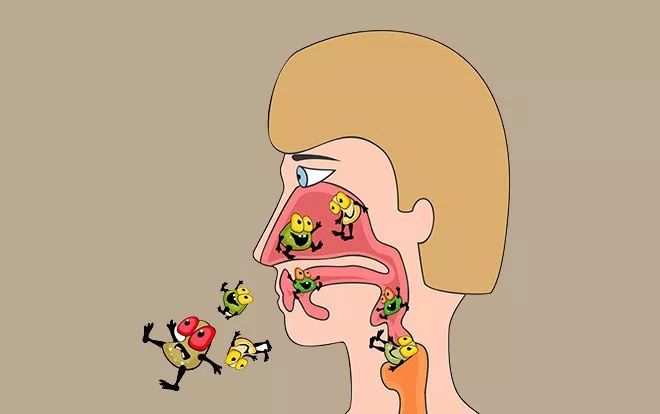 你身上细菌最多的地方是哪儿?不是脚不是手,是这5个地方!