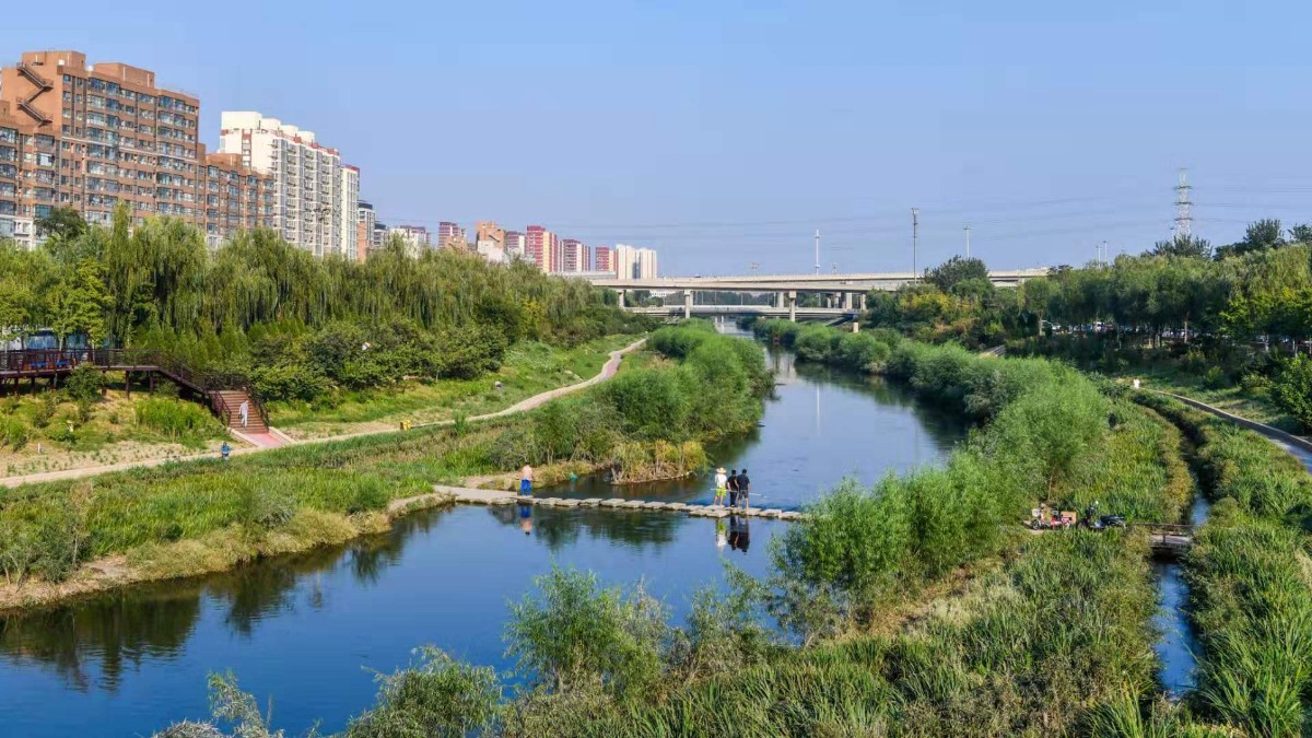 提升生态景观展现生态之美凉水河里有文章