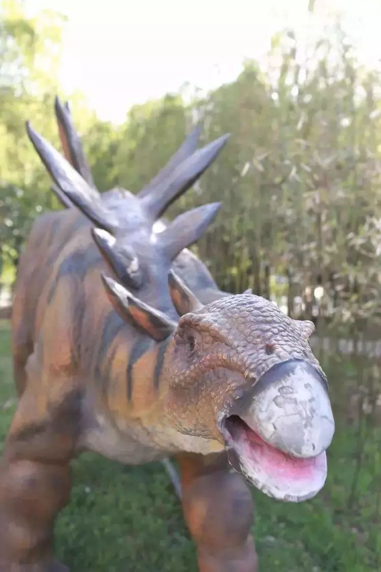 霸王龙, 蛇颈龙 ,双冠龙, 剑龙, 鲸龙, 雷龙等