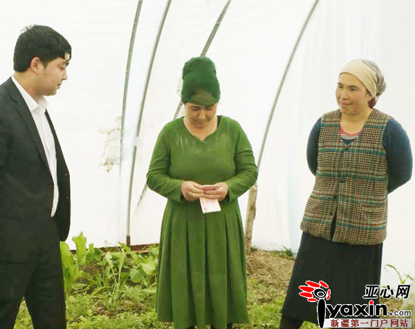 新疆阿瓦提县英艾日克乡玉斯屯克帕万拉村蔬菜拱棚撑起脱贫致富的希望