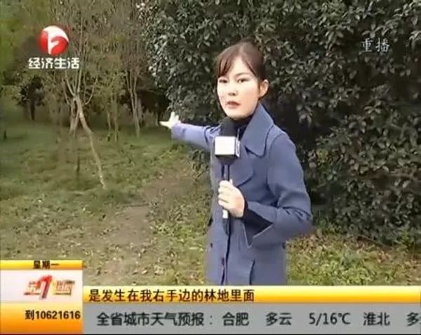 吓人合肥大蜀山树林惊现一具女尸