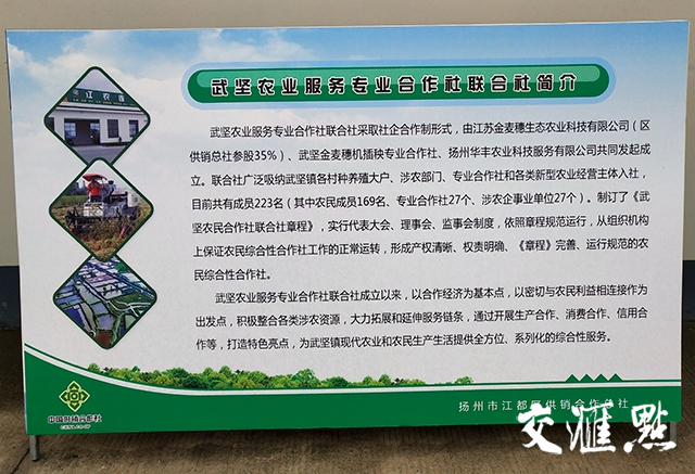 探索绿色循环——农兴生态农业的发展之路