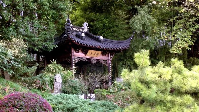 市场seo优化资费