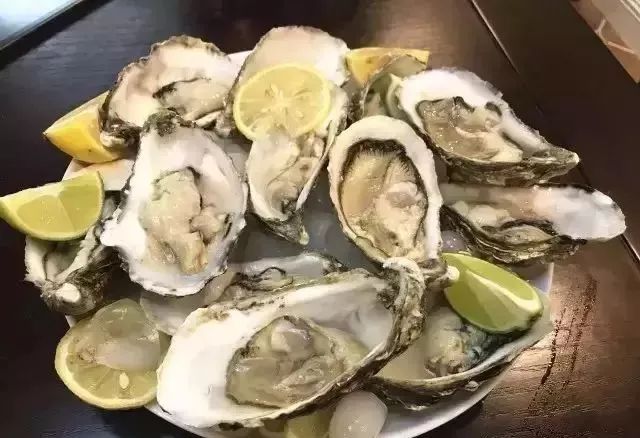越了解生蚝,我就越不了解人类