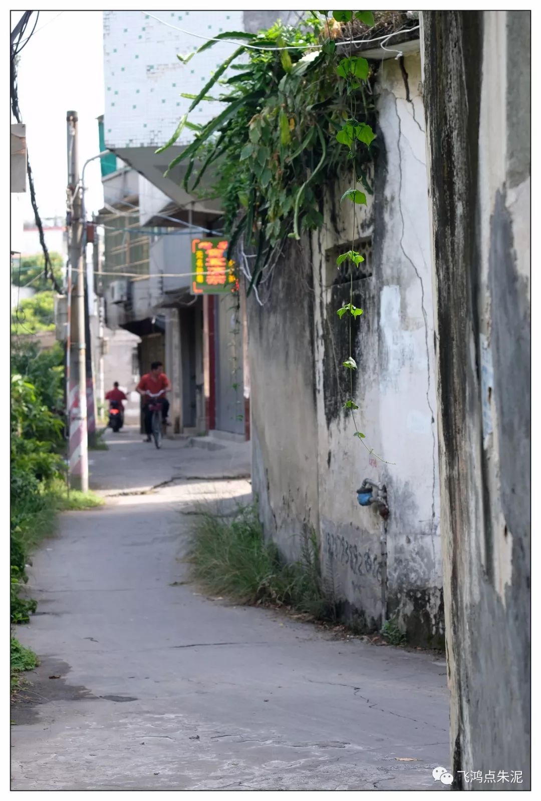凤岗最有名的小巷子 兴城市学生快餐:健康,快捷与多样性的完美融合