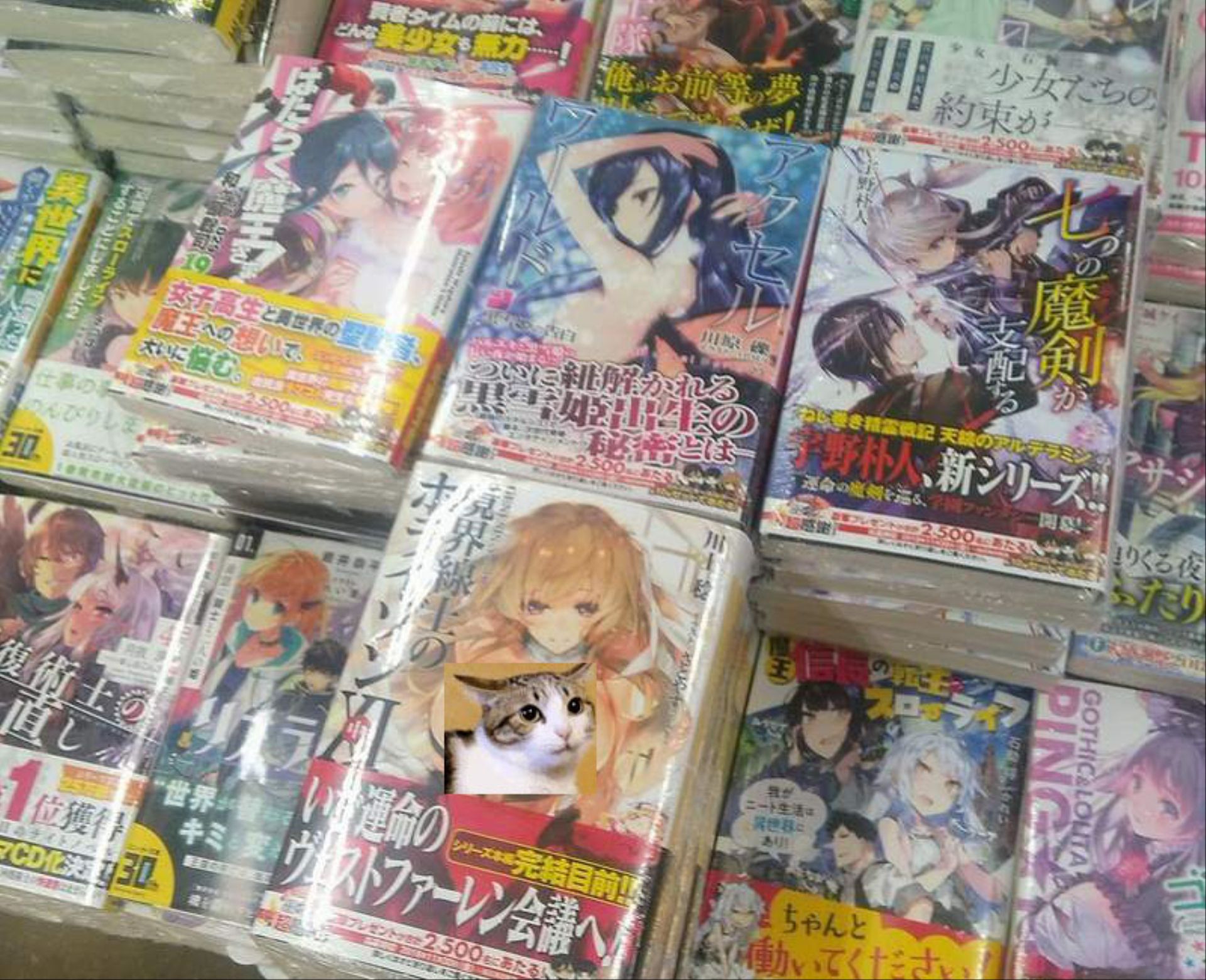 日本轻小说封面火辣遭家长痛批低俗 小学生看了表示很恶心