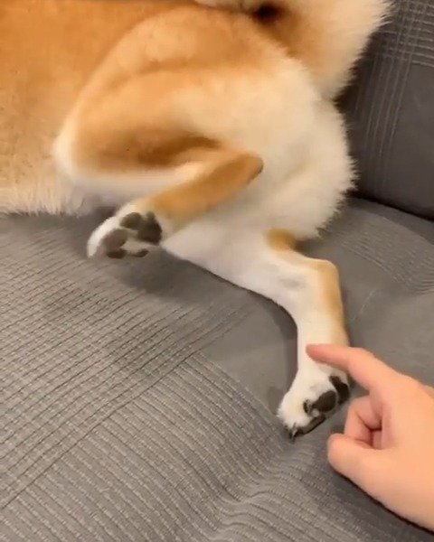 无处安放的jiojio,是谁在动手,滚!ノ