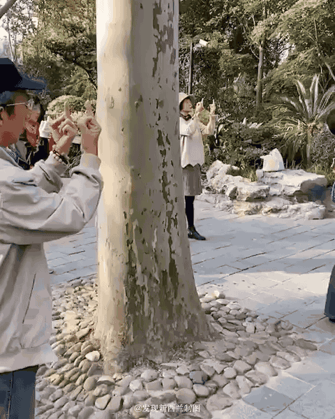 中国大爷大妈集体竖中指老外看呆了我也想去