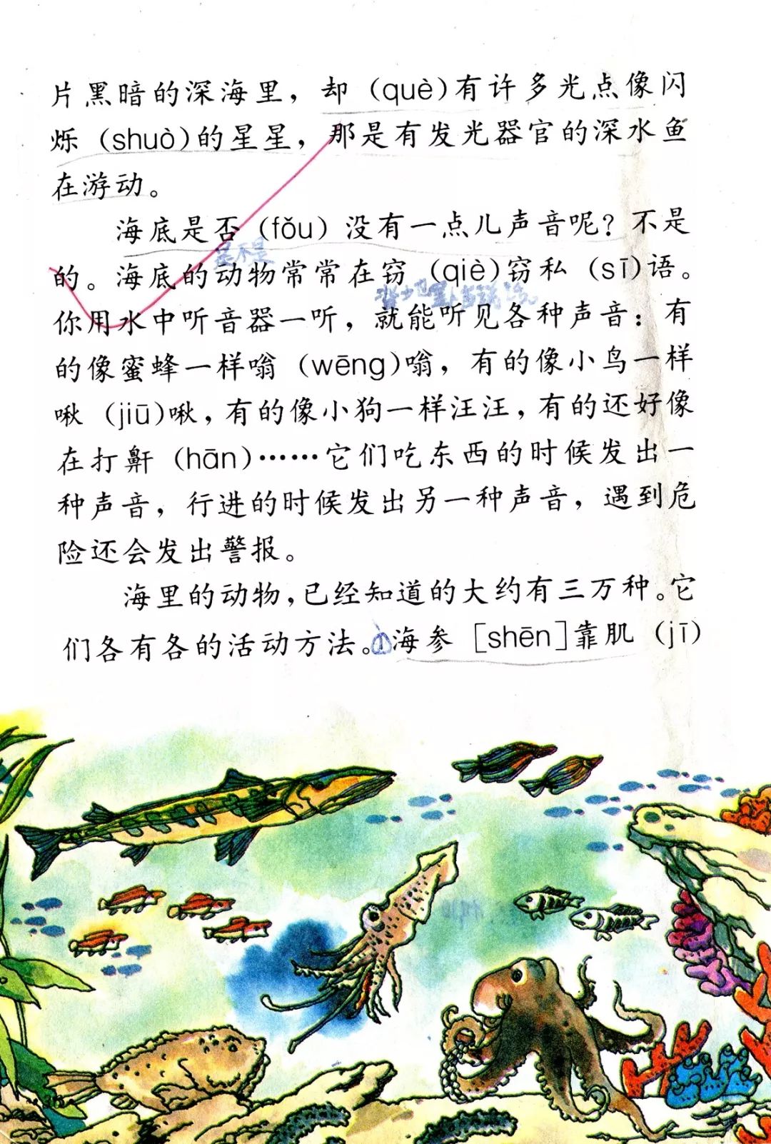 海底世界丨那些年我们一起读过的课文