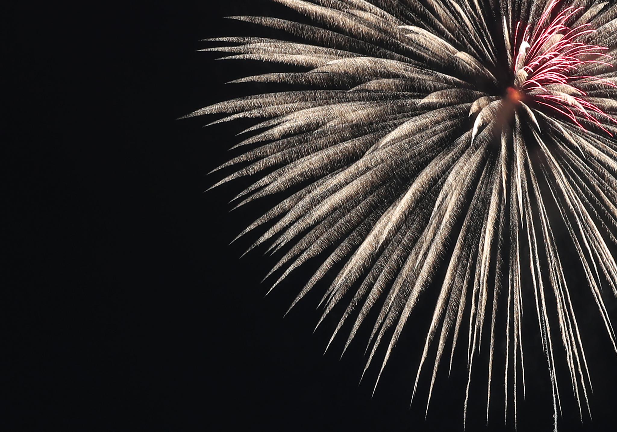日本东京:烟花点亮夏日夜空
