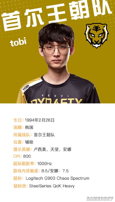 守望先锋联赛选手档案首尔王朝队tobi