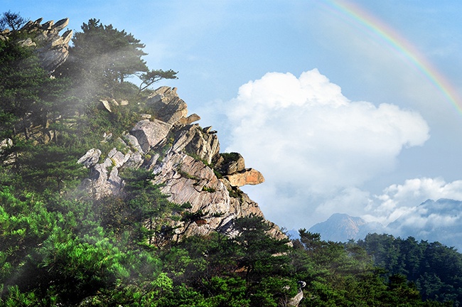【"疫"后花开 迈向诗和远方】一年四季有看点 沂蒙山上好风光