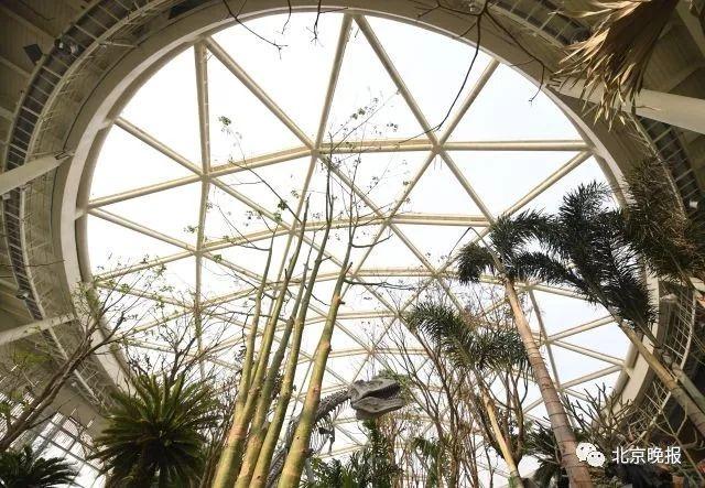 北京世园会开幕100天倒计时!三大亮点抢先看