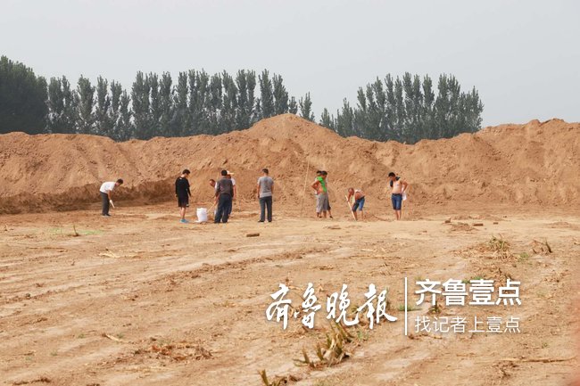 聊城东阿发现宋金元时期墓葬群遗迹埋藏较深