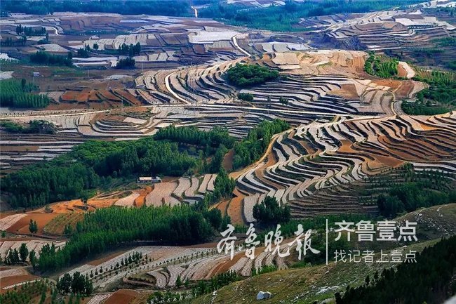 促消费方案重点任务