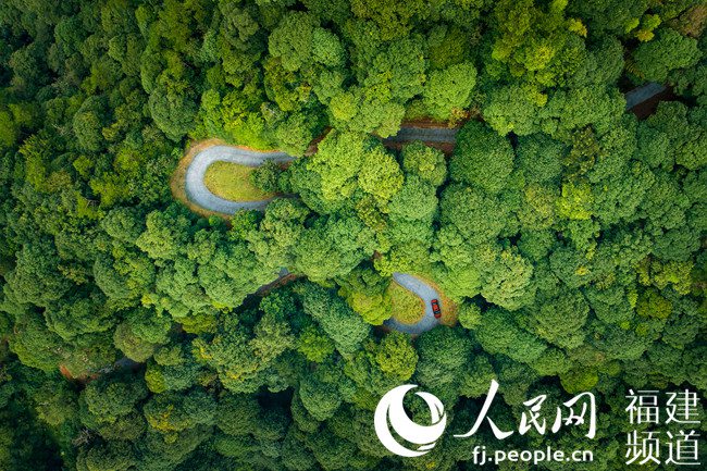 福建沙县:林改让山林活乡村兴