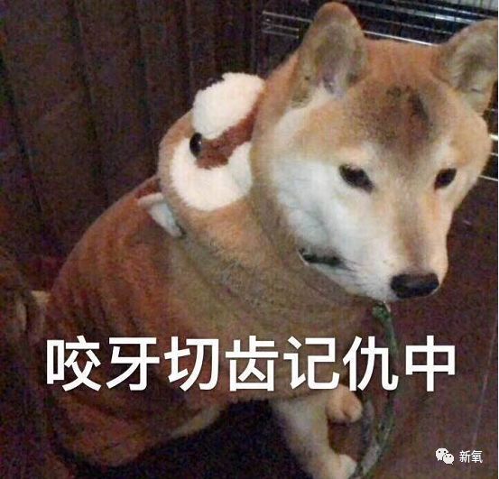 张雨绮分享整形经历又打脸一圈女星