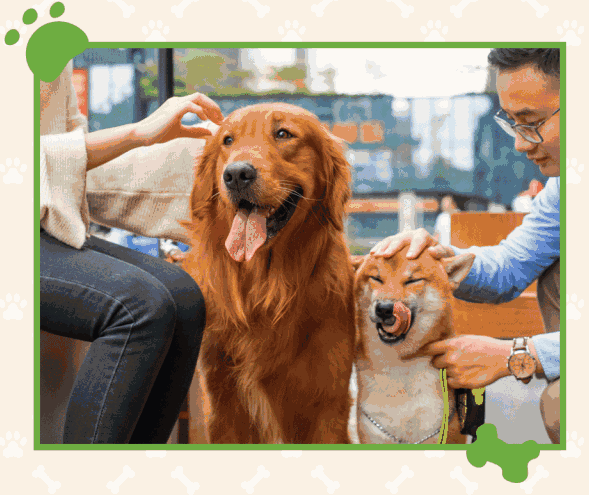 589_495gif 动态图 动图