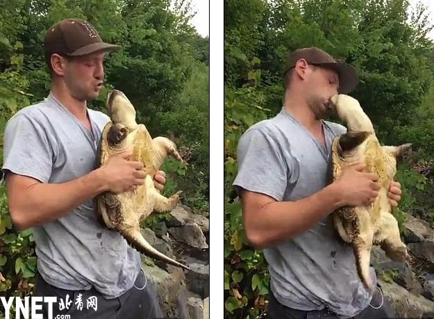 乌龟不慢:被捕后迅速反击 恶毒咬上男子嘴唇