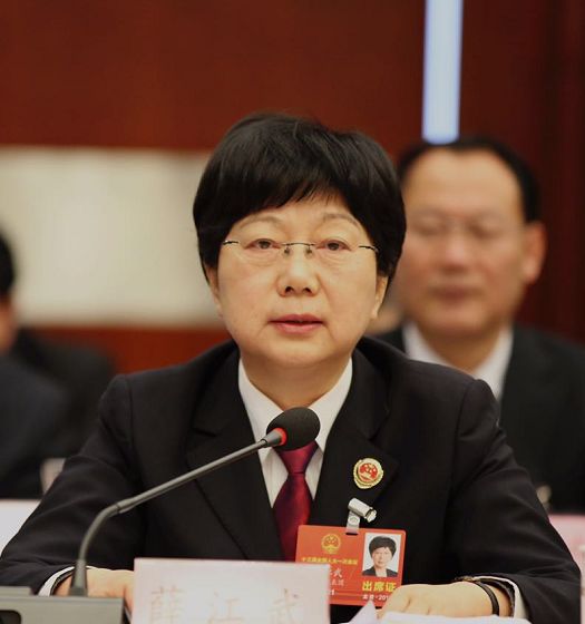 薛江武代表:深入推进智能应用与检察业务深度融合|智能语音|薛江武