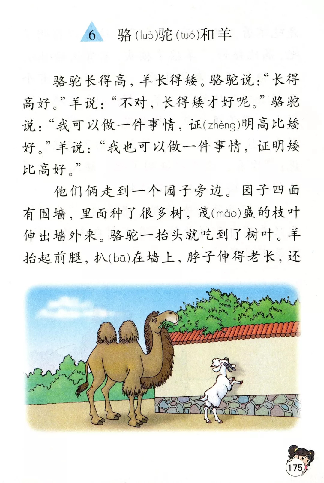 骆驼和羊丨那些年我们一起读过的课文