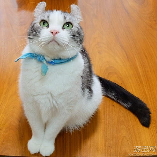 电动汽车品牌排行榜十大名牌