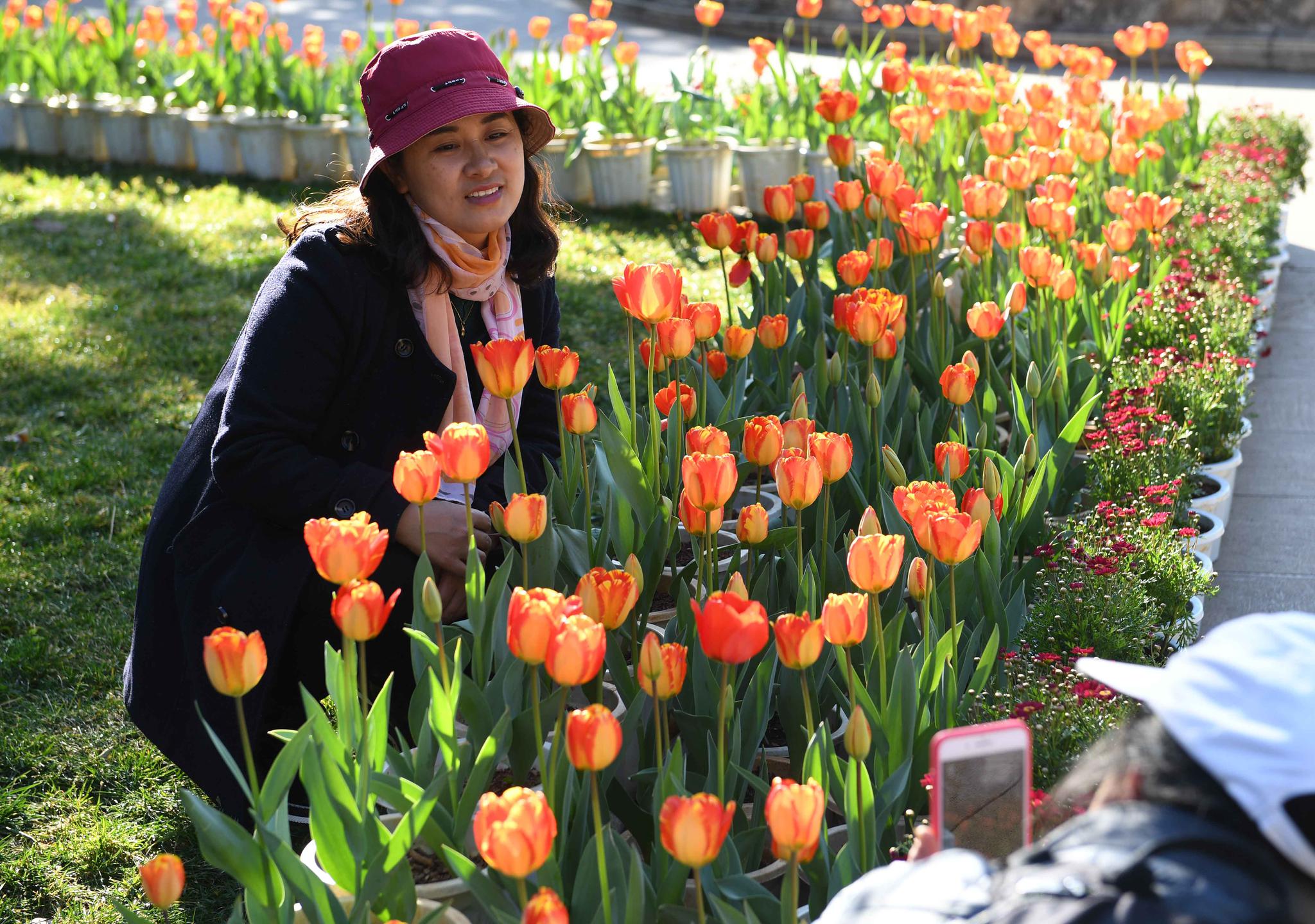 花团锦簇迎新春|大观公园|昆明|鲜花_新浪网